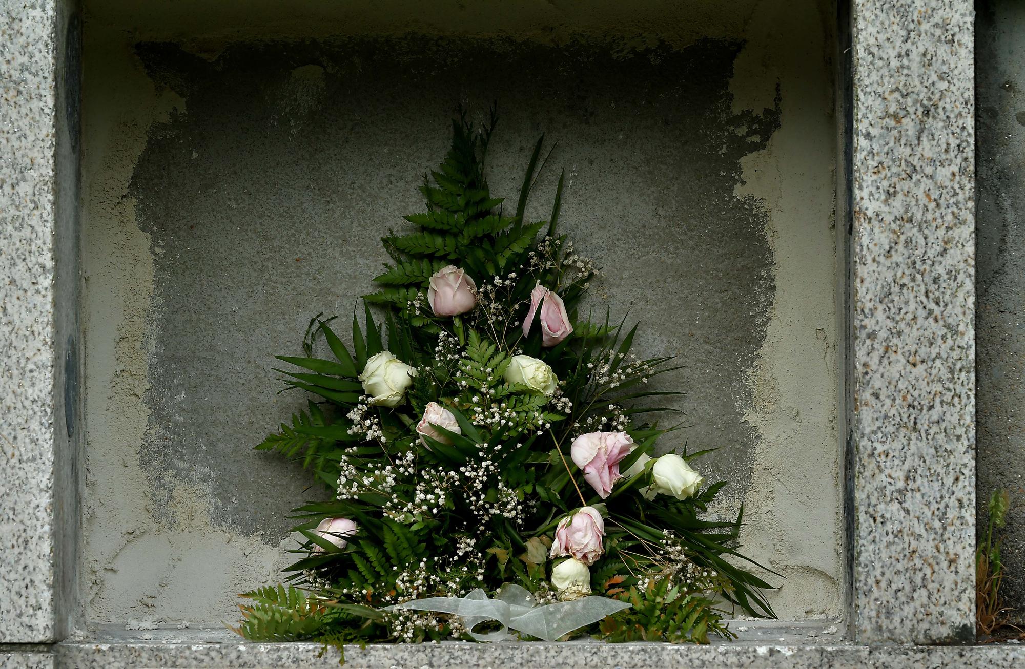 Mientras galería coronavirus - 20